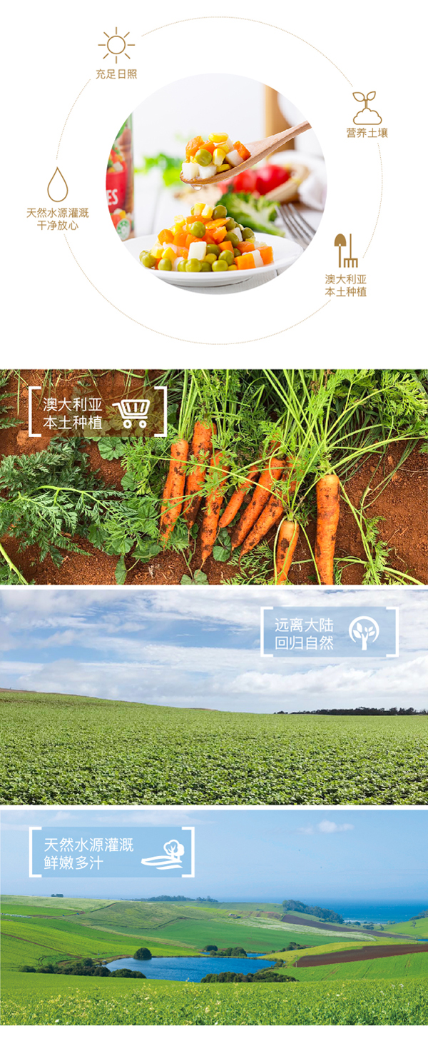 107564012Edgell安吉尔-混合蔬菜罐头-420g罐-澳大利亚进口_03.jpg