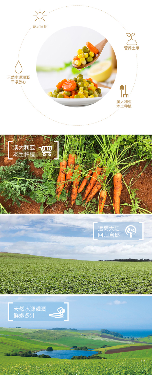 107592014Edgell安吉尔-豌豆玉米粒胡萝卜罐头-420g罐-澳大利亚进口_03.jpg